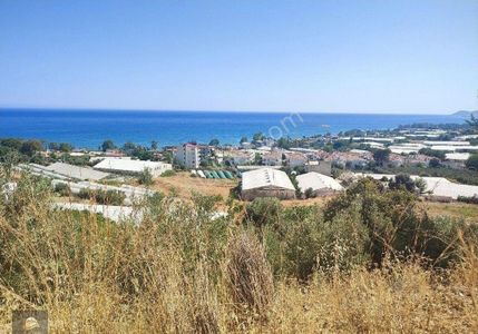 Arsa-Tarla