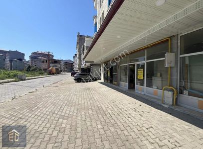 İşyeri-Dükkan & Mağaza
