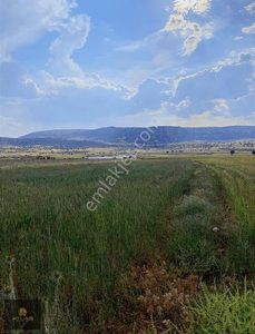 Arsa-Ticari İmarlı