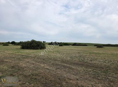 Arsa-Tarla