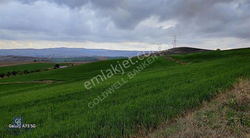 Arsa-Tarla