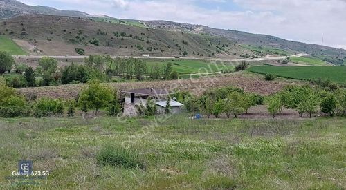 Arsa-Tarla