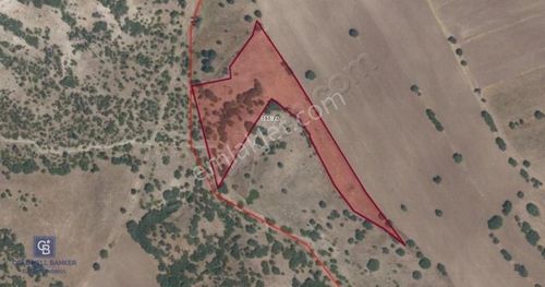 Arsa-Tarla