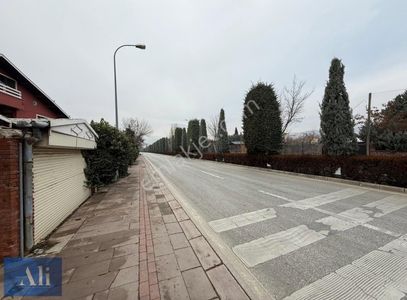 Konut-Villa