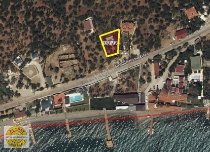 Arsa-Zeytinlik
