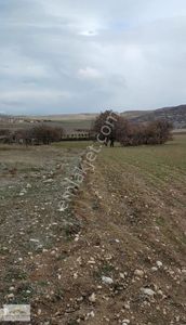 Arsa-Tarla