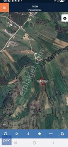 Arsa-Tarla