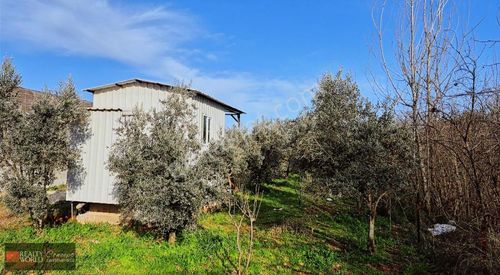 Arsa-Villa İmarlı