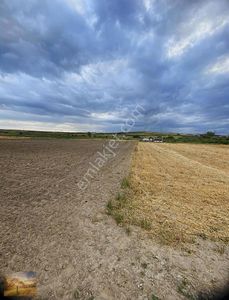 Arsa-Tarla