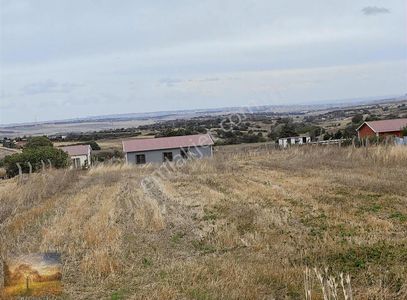 Arsa-Tarla