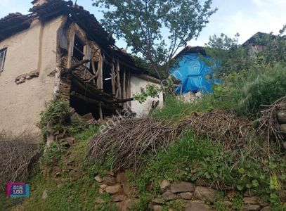Konut-Müstakil Ev