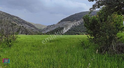 Arsa-Tarla