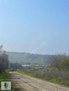 Arsa-Tarla