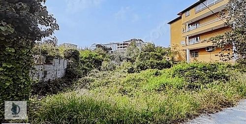 Arsa-Ticari İmarlı