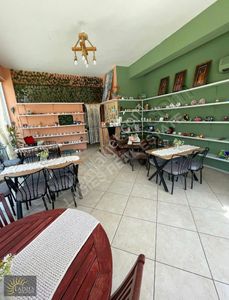 İşyeri-Kafe & Bar