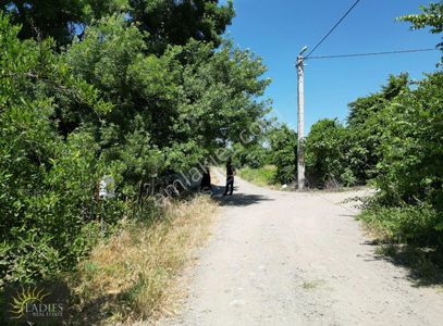Arsa-Tarla