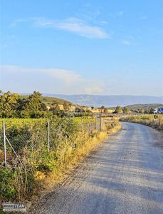 Arsa-Tarla