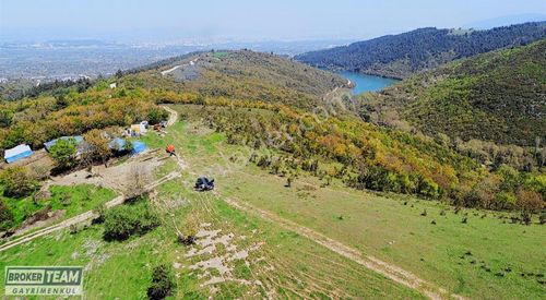 Arsa-Tarla