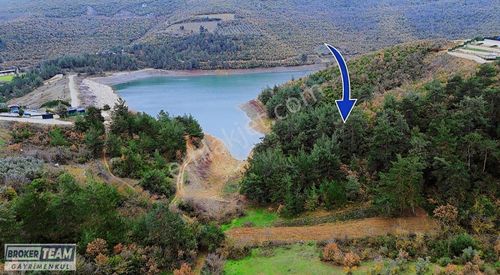 Arsa-Bağ & Bahçe
