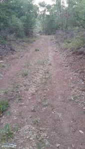 Arsa-Tarla