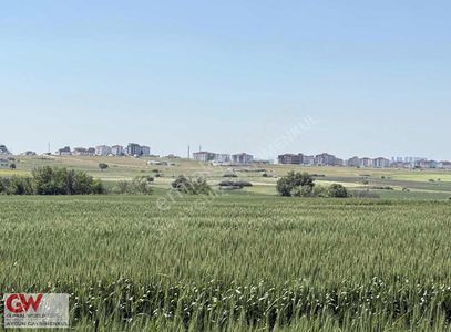 Arsa-Tarla