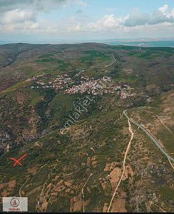 Arsa-Bağ & Bahçe