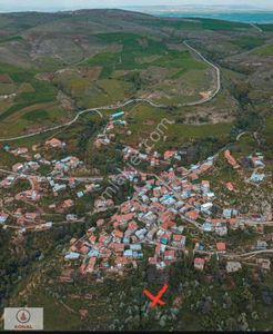 Arsa-Bağ & Bahçe