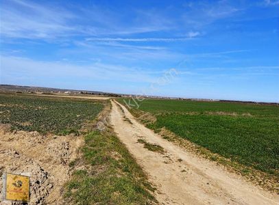 Arsa-Tarla
