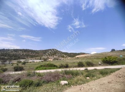 Arsa-Tarla