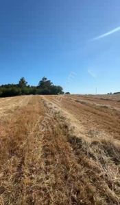 Arsa-Tarla