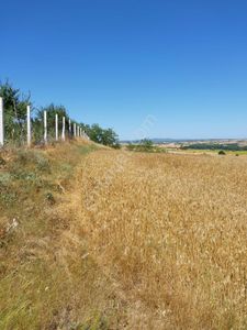 Arsa-Tarla