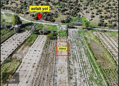 Arsa-Bağ & Bahçe