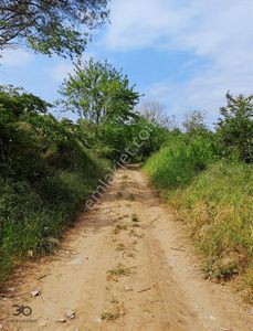 Arsa-Tarla