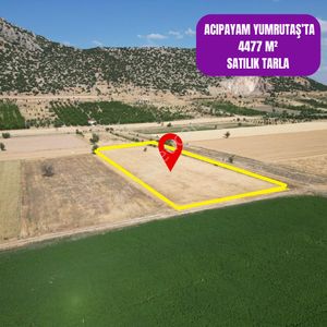 Arsa-Tarla
