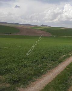 Arsa-Tarla