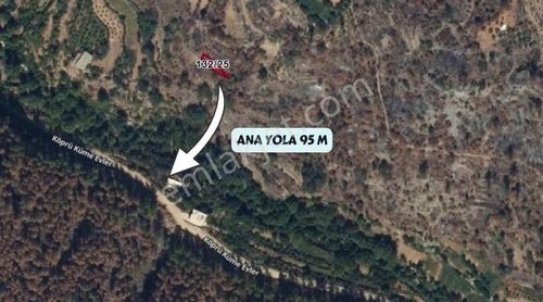 Arsa-Bağ & Bahçe