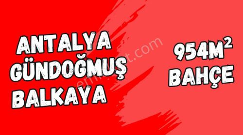 Arsa-Bağ & Bahçe