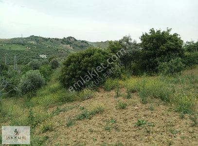 Arsa-Bağ & Bahçe