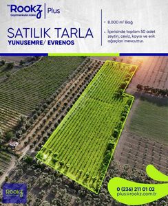 Arsa-Tarla