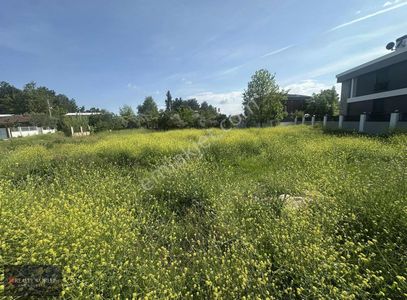 Arsa-Villa İmarlı