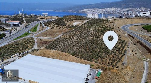 Arsa-Depo, Antrepo İzinli