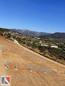 Arsa-Zeytinlik