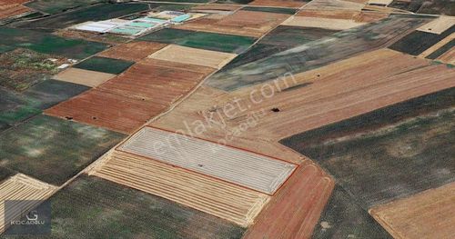 Arsa-Tarla