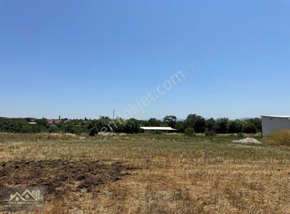 Arsa-Konut İmarlı