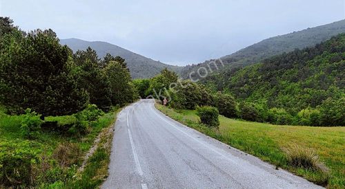 Arsa-Tarla