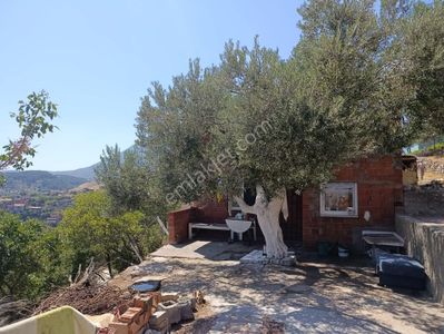 Arsa-Tarla