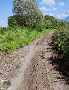 Arsa-Tarla