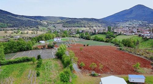 Arsa-Tarla