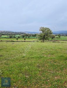 Arsa-Tarla