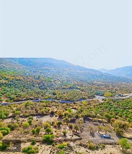 Arsa-Bağ & Bahçe